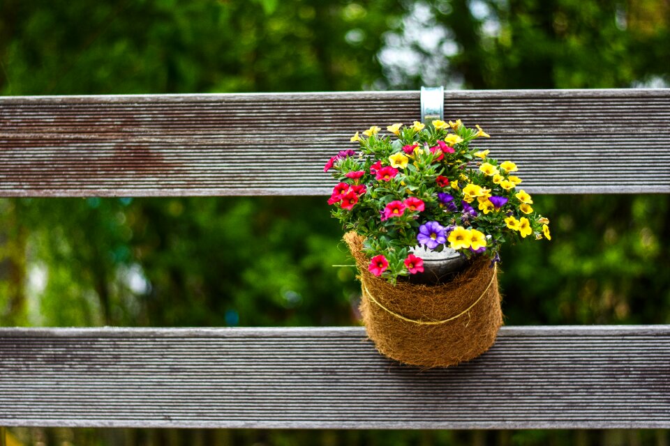 Bloom gartendeko green