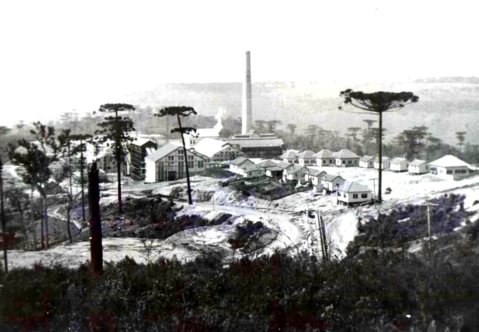 Klabin Monte Alegre, Paraná