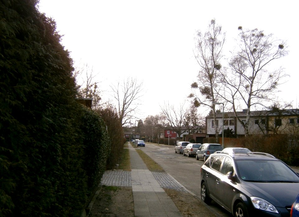Kladow Lönnrotweg SW