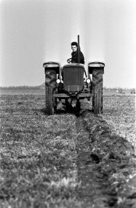 Klaas Eelman uit Texel, kampioen ploegen van Nederland, tijdens het ploegen, Bestanddeelnr 918-3670