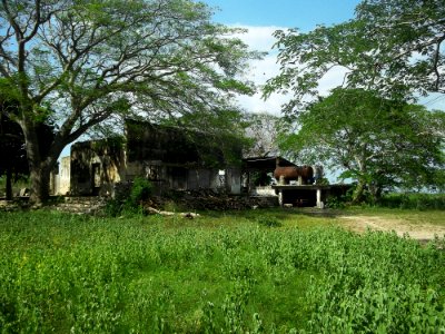 Kitinché (Tixkokob), Yucatán (05)