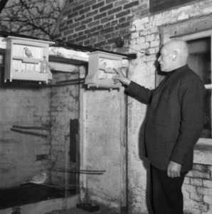 Klokken luiden, Bestanddeelnr 901-9691