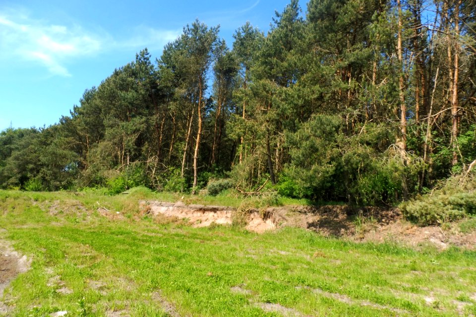 Klausheide - Apels Teich - 9