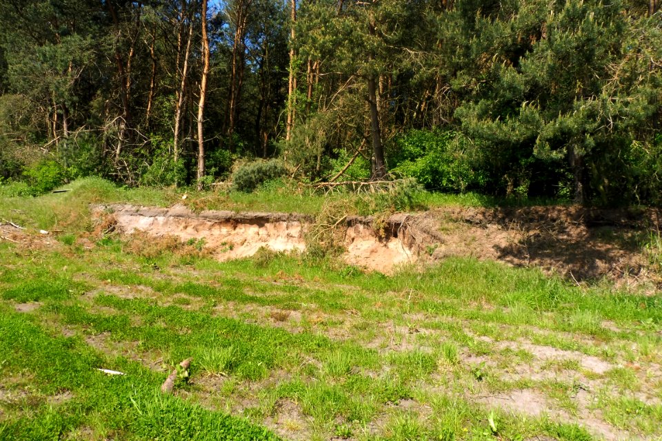 Klausheide - Apels Teich - 11