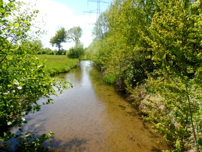 Klausheide - gLB Haustenbachaue - 1