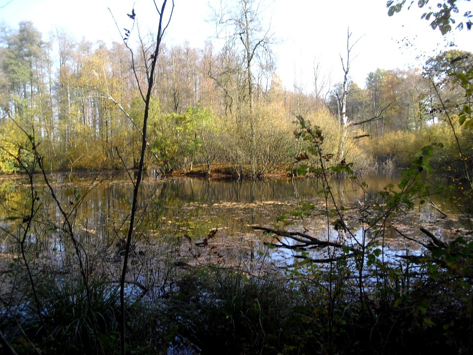 Klausheide-Apels Teich-1