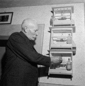 Klokken luiden, Bestanddeelnr 901-9694