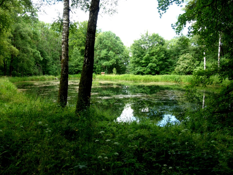 Kloster Irsee (07)