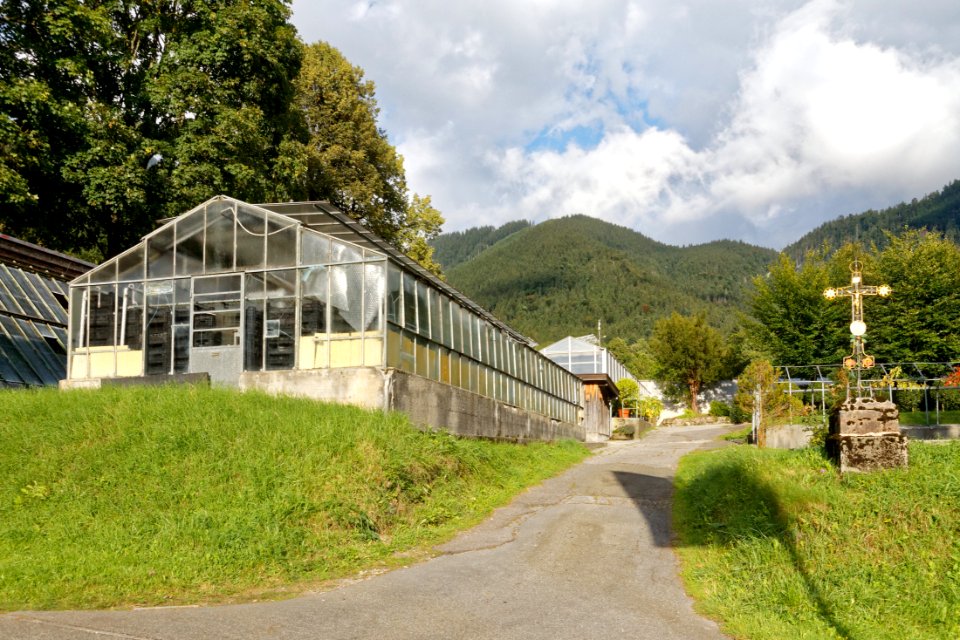 Kloster Ettal Gärtnerei bjs190917-01