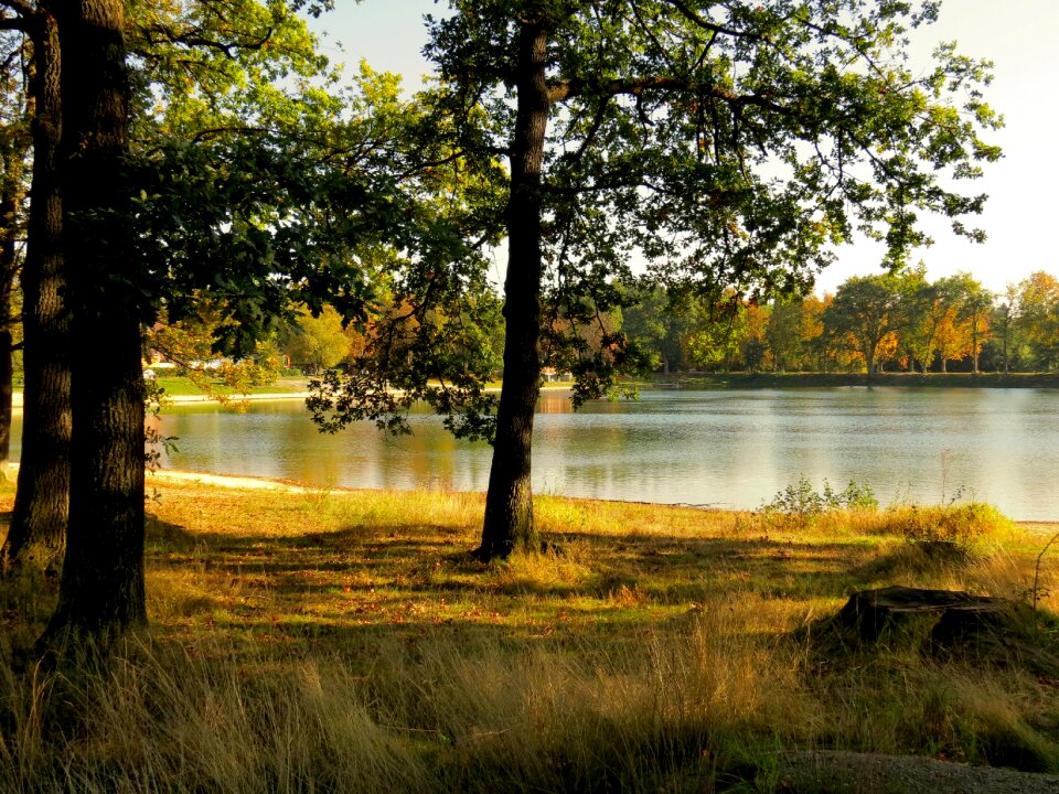 Grass bank nature