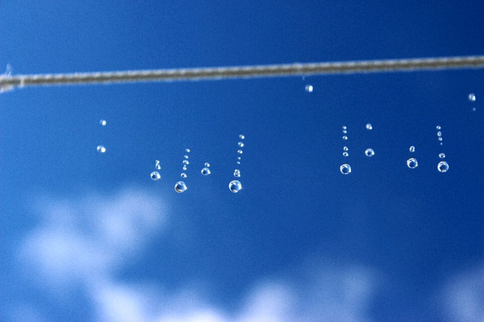 Falling raindrops mirroring water