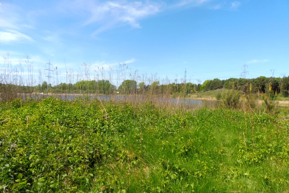 Klausheide - Apels Teich - 7