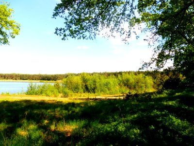 Klausheide - Apels Teich - 5