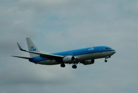 KLMBoeing737txl