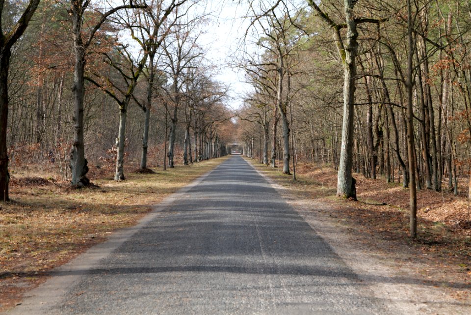 Klare-Pfuhl-Gestell Parforceheide 2021-02-24 01