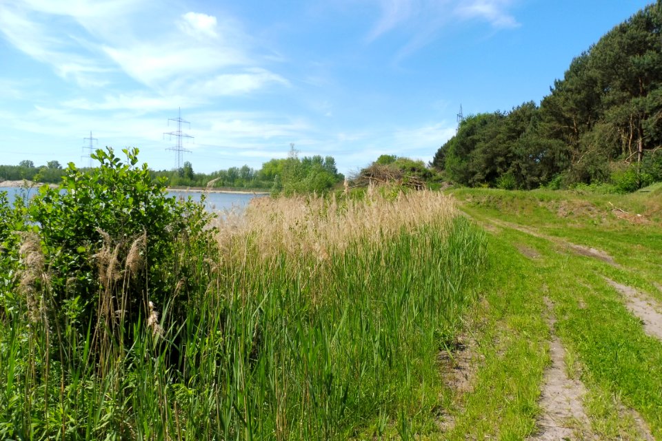 Klausheide - Apels Teich - 13