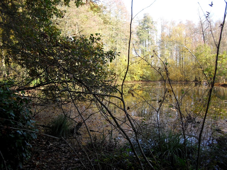 Klausheide-Apels Teich-2