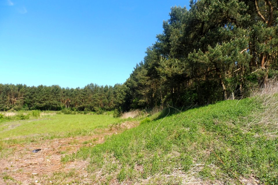 Klausheide - Apels Teich - 2