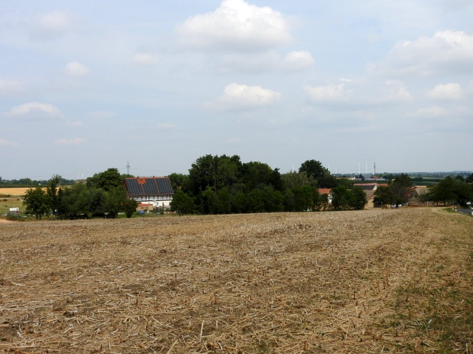 Kleintauscha 11