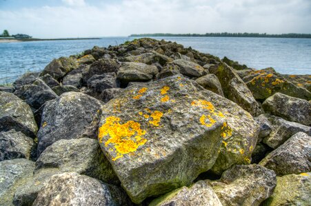 Sea nature stone