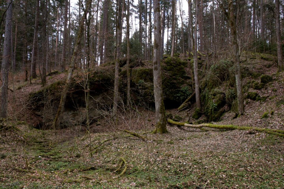 Kleebergponor 01