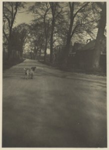 Kloppersingel, Inventarisnummer NL-HlmNHA 16760