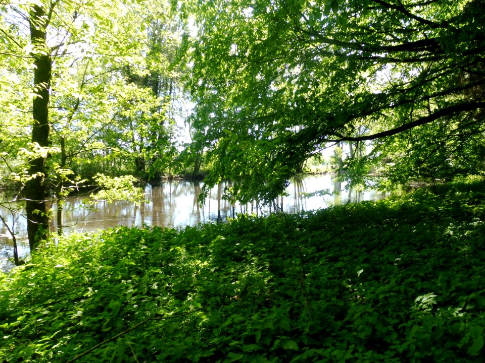 Klausheide - gLB Haustenbachaue - 2