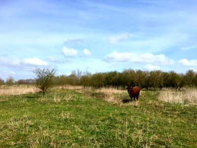 Klompenwaard (Gelderse Poort) photo