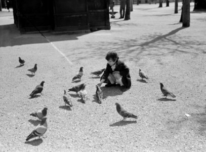 Klein meisje met duiven in Parijs, Bestanddeelnr 254-5665 photo