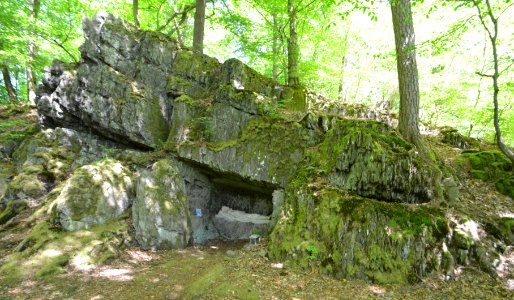 Kloster Marienstatt, Kreuzweg, Grab (1)