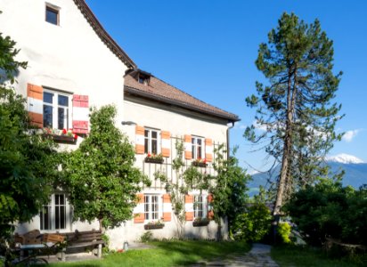Kloster Gnadenwald mit Zirbelkiefer