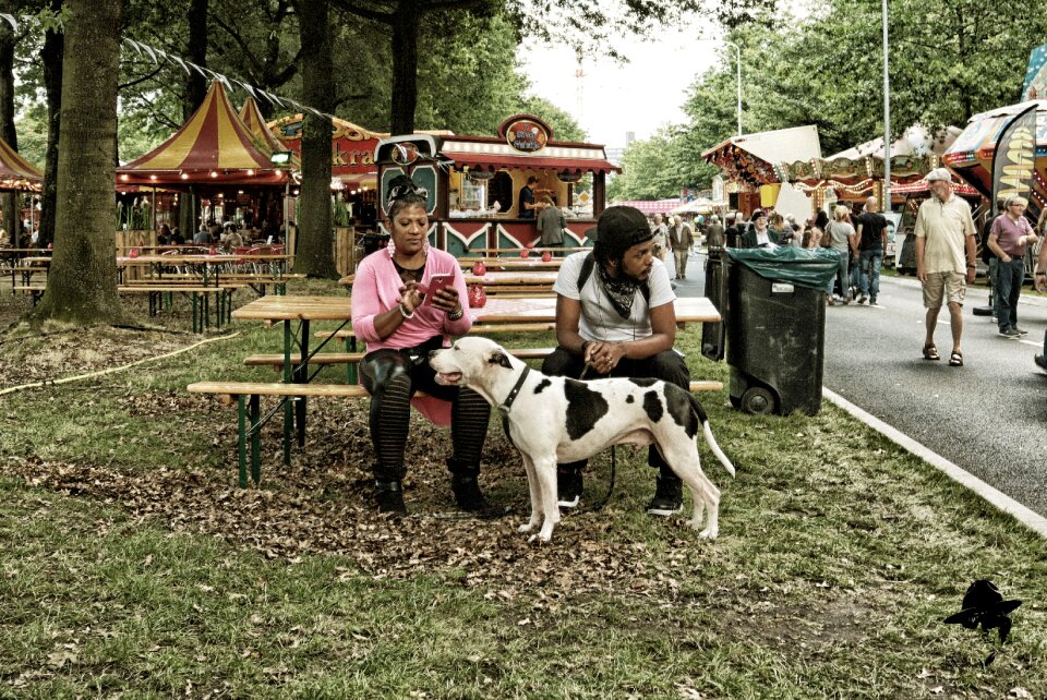 Bertbosch street scenes eindhoven
