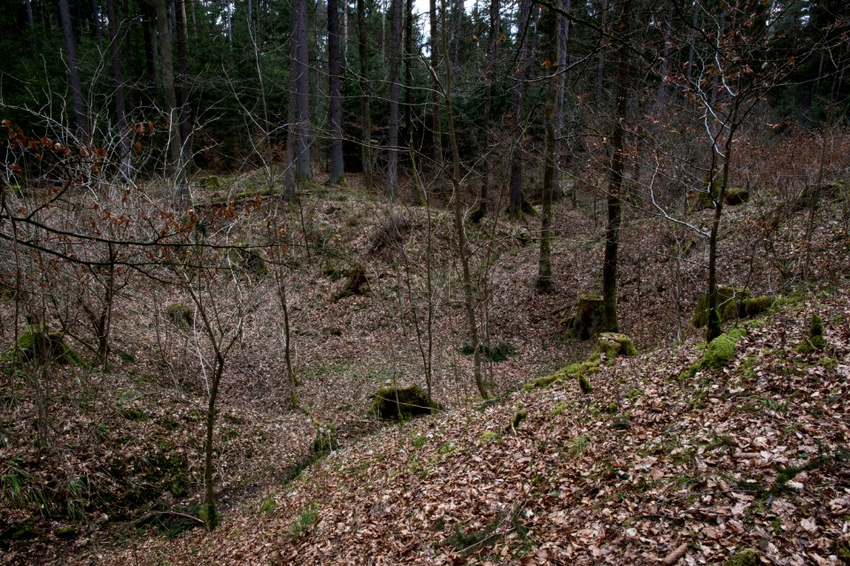 Kleebergponor 08