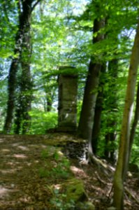 Kloster Marienstatt, Kreuzweg, Station 10 (2)