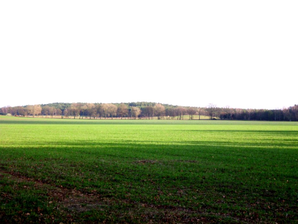 Klein Gottschow Landschaft