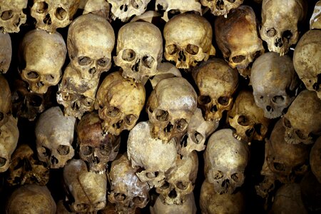 Head bones people