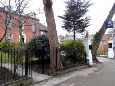 Kingston Terrace (1)