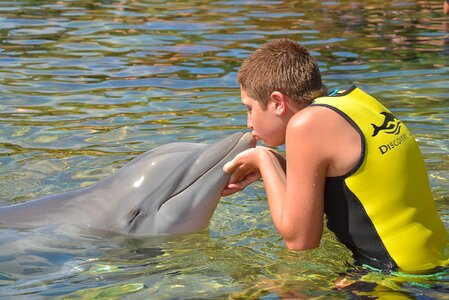 Aquarium animals love