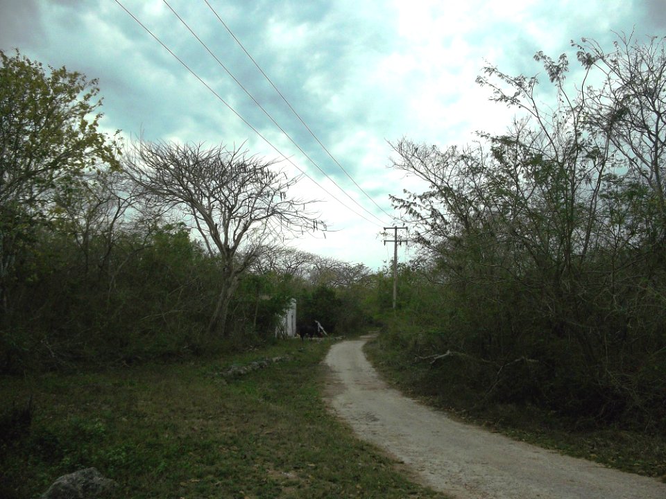 Kininché, Yucatán (02)