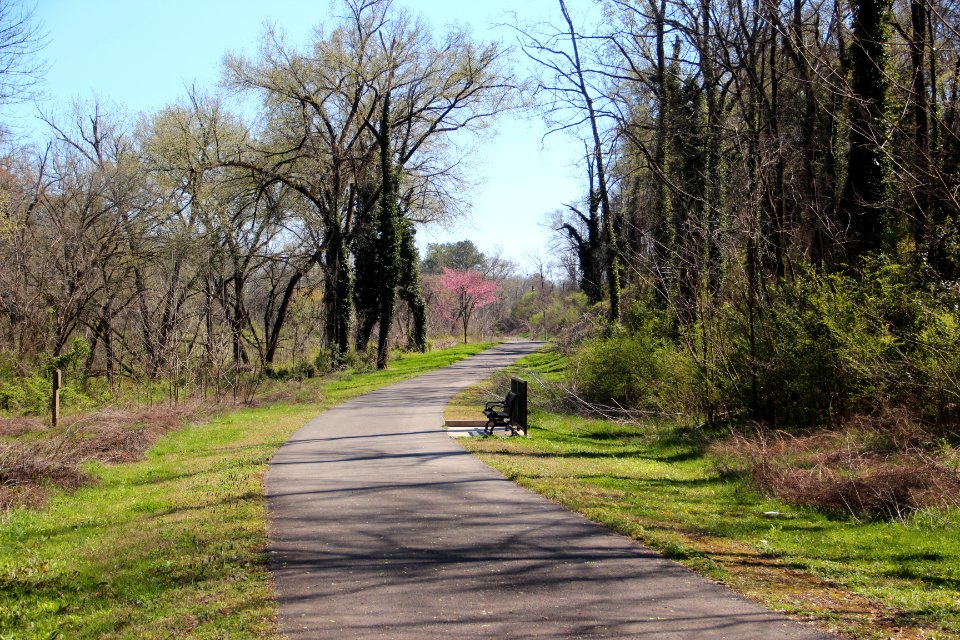 Kingfisher Trail, Rome GA March 2018 3