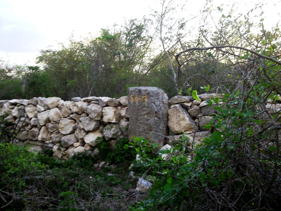 Kintunich, Yucatán (04)