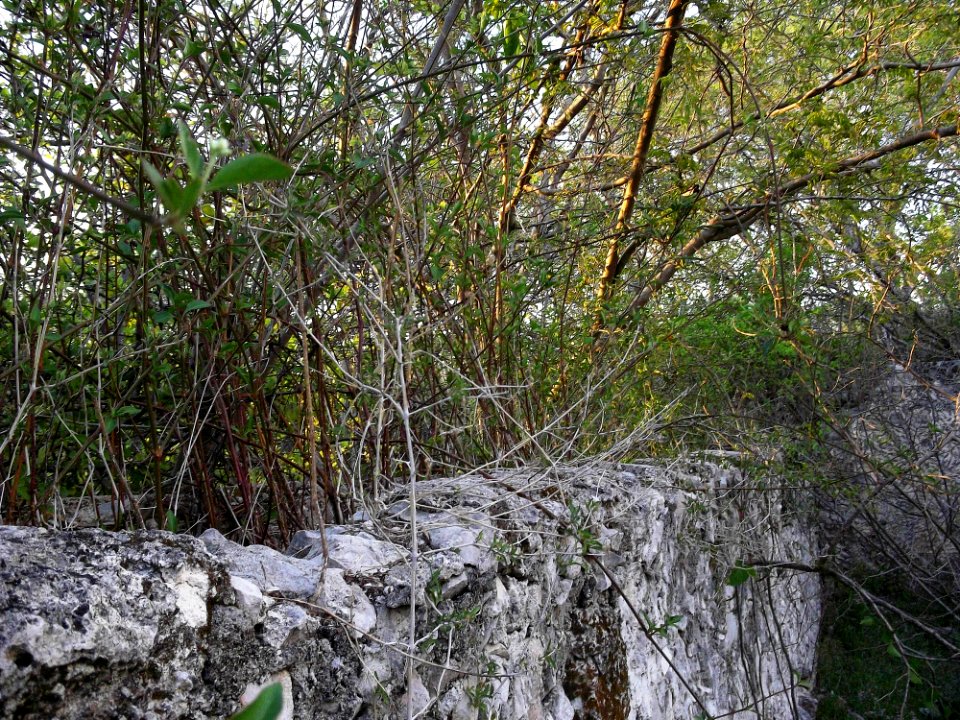 Kintunich, Yucatán (17)