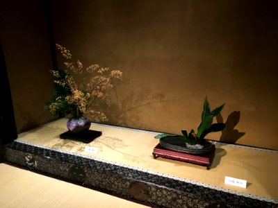 Kinka Ikenobo 錦花池坊 003