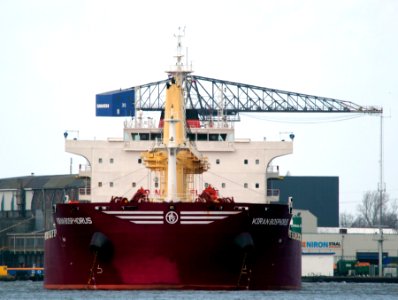 Kiran Bosphorus, IMO 9576997, MMSI 229787000, Call Sign 9HA3609, Mercuriushaven, Port of Amsterdam, pic2