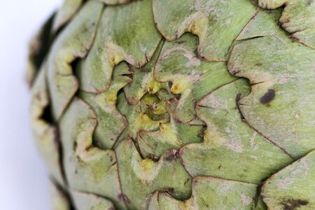 Artichoke vegetable wallpaper