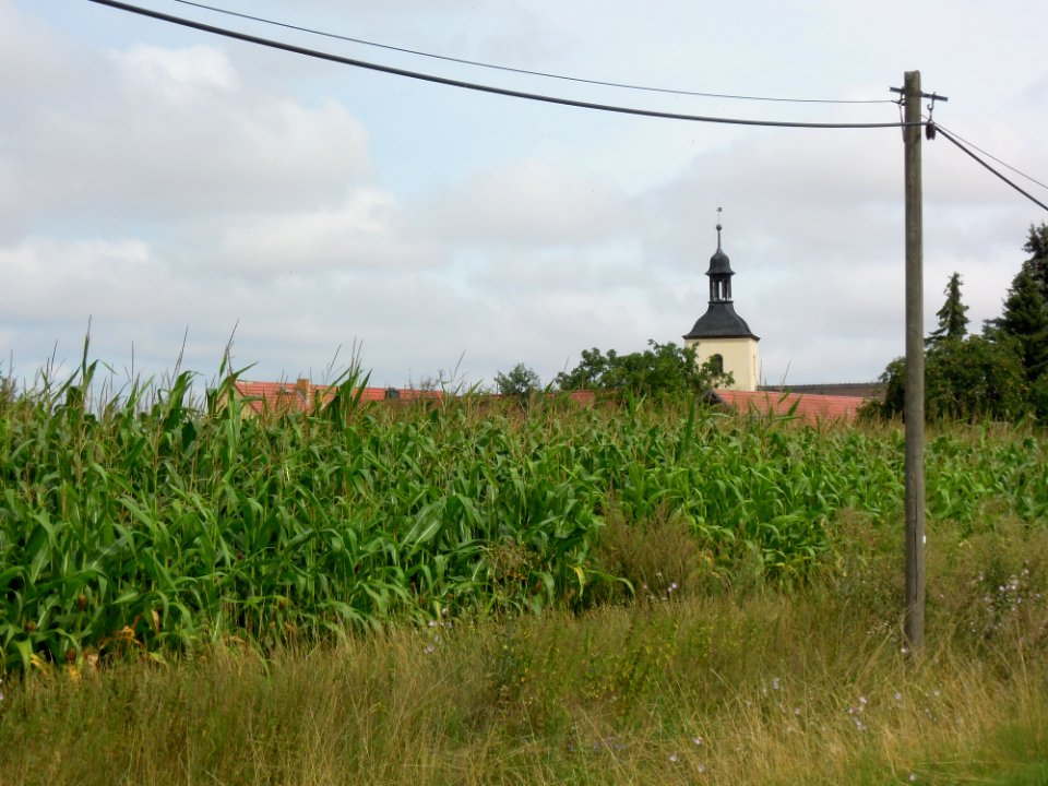 Kirche in Naundorf bei Seyda -Fernansicht- im August 2020