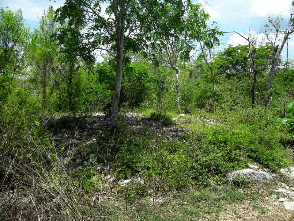 Kintunich, Yucatán (10)