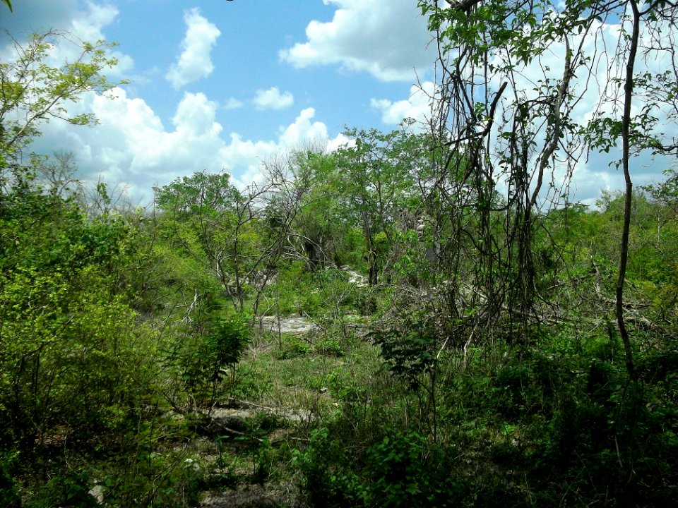Kintunich, Yucatán (03)