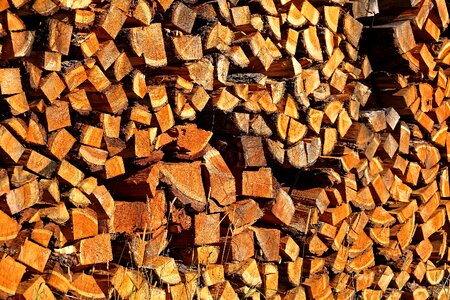 Wood nature dry wood