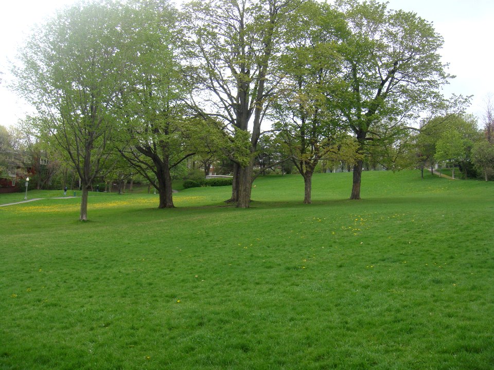 King George Park, Westmount - 01